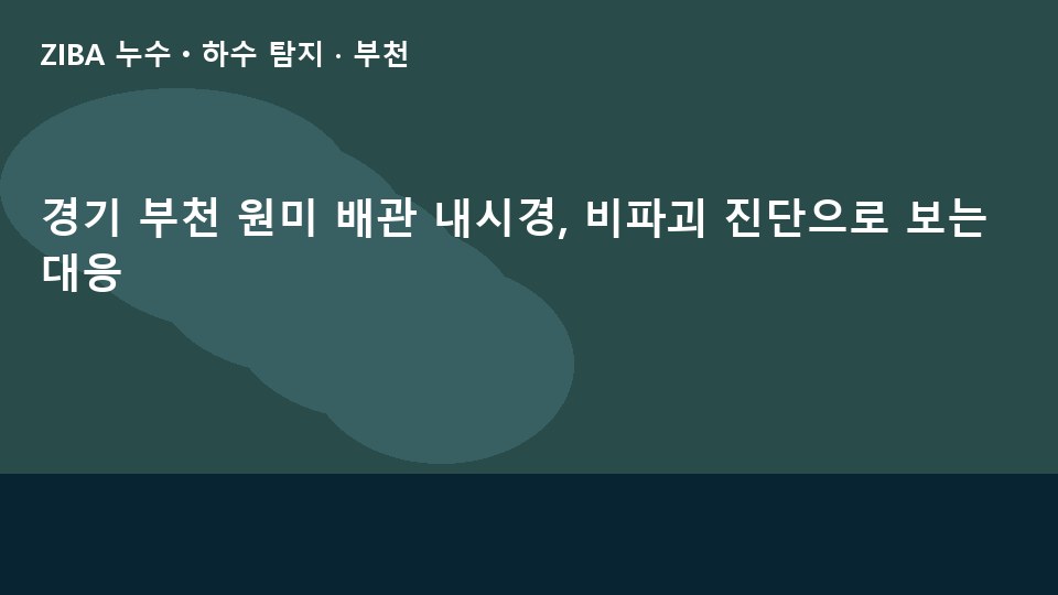 경기 부천 원미 배관 내시경, 비파괴 진단으로 보는 대응