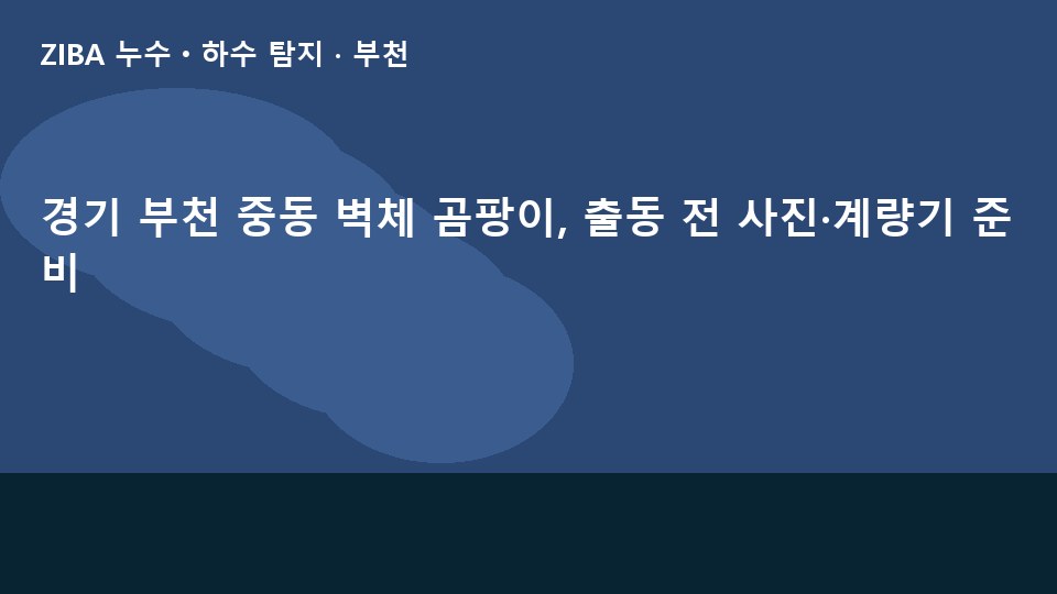 경기 부천 중동 벽체 곰팡이, 출동 전 사진·계량기 준비