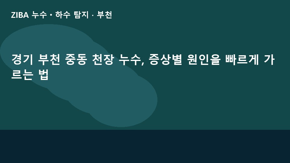 경기 부천 중동 천장 누수, 증상별 원인을 빠르게 가르는 법